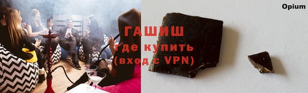 шишки Арсеньев
