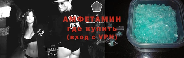 шишки Арсеньев
