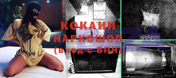 шишки Арсеньев