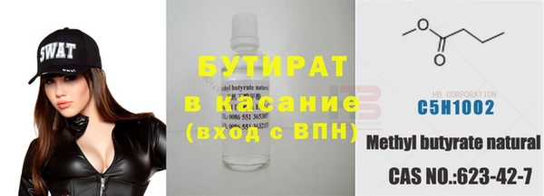 шишки Арсеньев