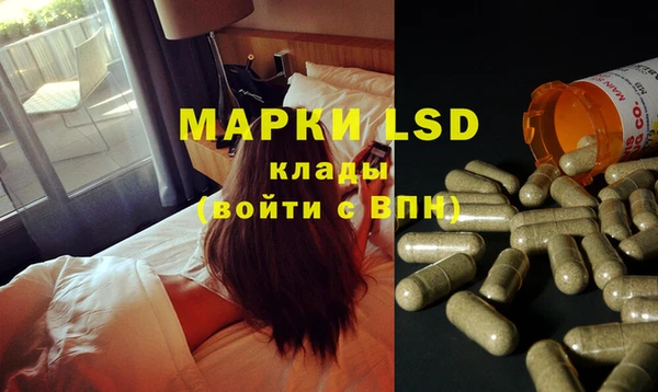 шишки Арсеньев