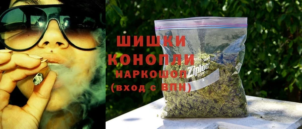 шишки Арсеньев