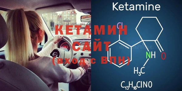 шишки Арсеньев