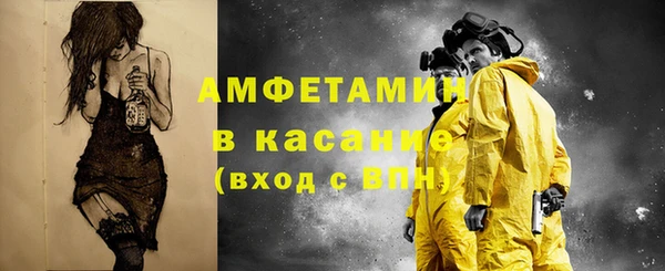 шишки Арсеньев