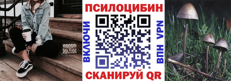 Галлюциногенные грибы Cubensis  купить закладку  Буинск 